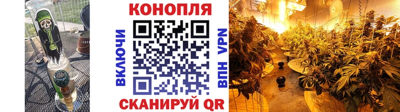 Бошки Шишки план KRAKEN зеркало Родники